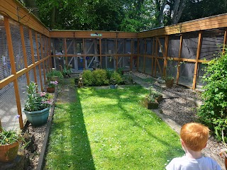 The Mews Boarding Cattery