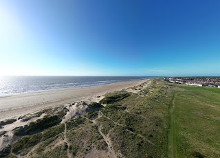 Beach Lawn