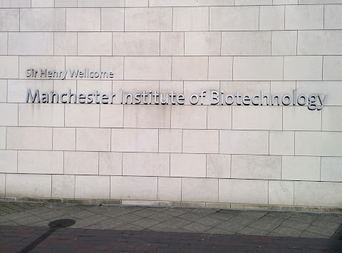 Manchester Institute of Biotechnology