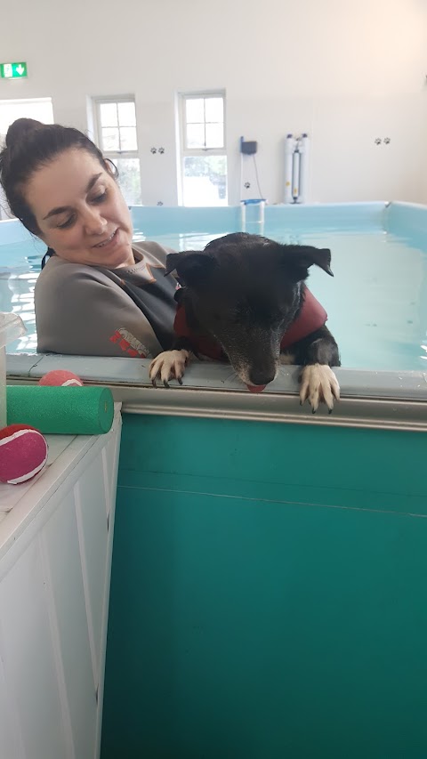 Aqua Dog Hydrotherapy