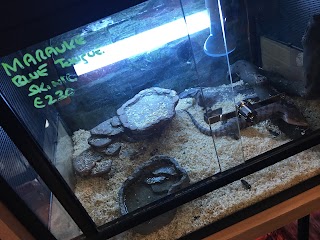 Reptile Haven