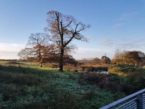 Field Studies Council - Margam Discovery Centre