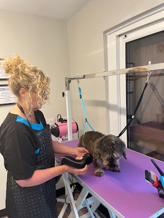 Care of the Dog (Dog Grooming)