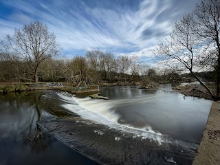 Kirkstall Valley Nature Reserve