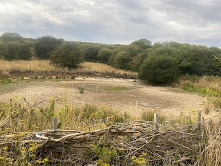 Waterhall Dew Pond