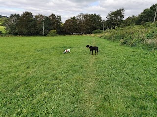 Walkies at Wixenford