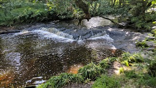 Calderglen Country Park and Zoo