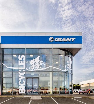 Giant Store Dublin