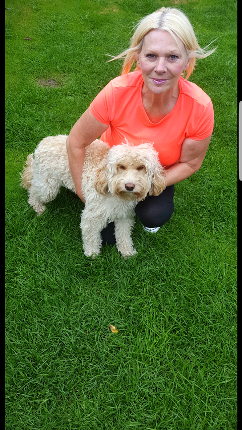 Tiny Paws Dog Walking