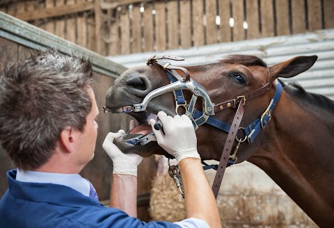 Royal Veterinary College Equine Practice and Referral Hospital