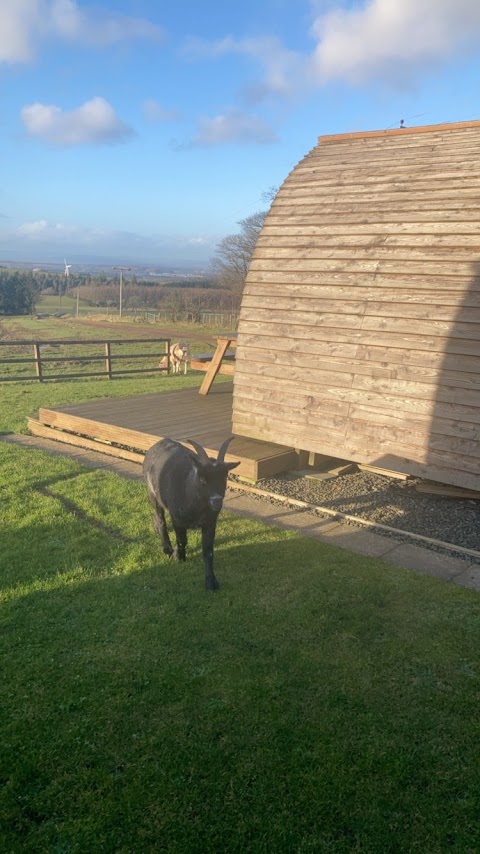 Hilly Cow Wigwams