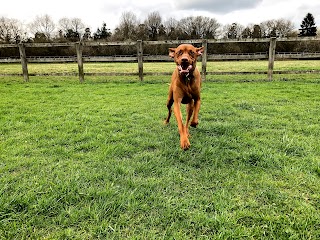 Hunters Lodge Country Boarding Kennels & Cattery