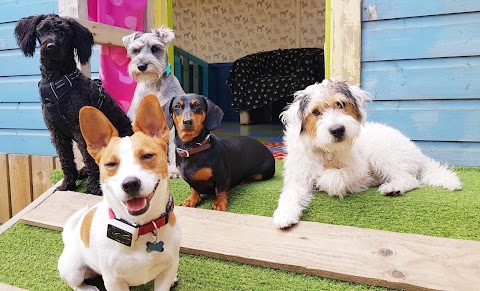 Porta Pups Dog Creche