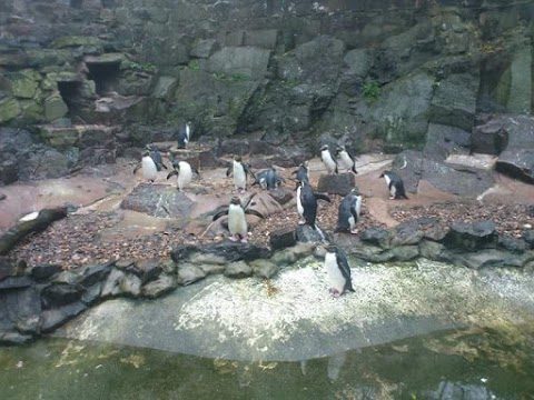 Edinburgh Zoo