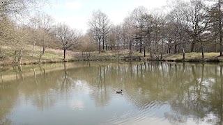 RSPB Consall Woods