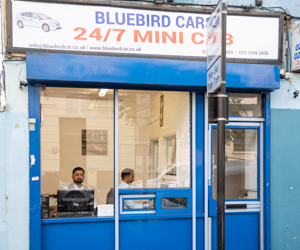 Bluebird Cars