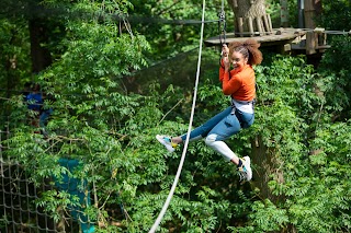 Go Ape Cockfosters