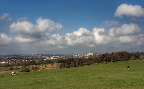 Heath Common