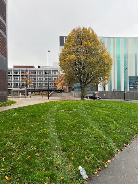 Sheffield City Walk-In Centre