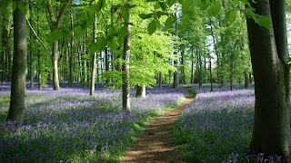 Coton Manor Garden