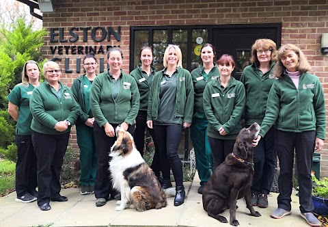 Elston Veterinary Clinic