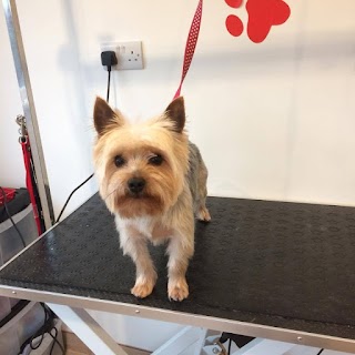 Hairy Barkers Dog Grooming