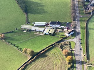 Penylan Country Lodge Kennels & Cattery