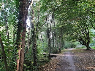 The Wilderness (Ger-Y-Llyn Pond)