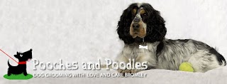 Pooches'n'Poodles Dog Grooming