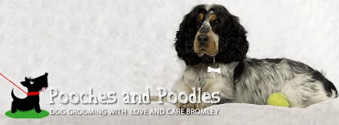 Pooches'n'Poodles Dog Grooming