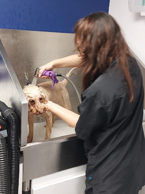 Sue Oliver Dog Grooming Studio