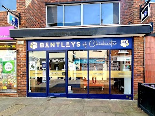 Bentleys Dog Groomers of Chichester