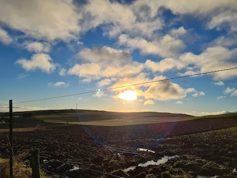 Wildlife walk