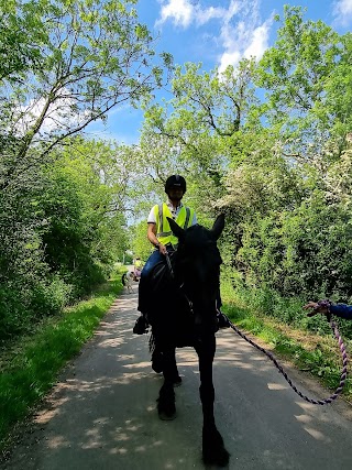 The Urban Equestrian Academy Ltd.