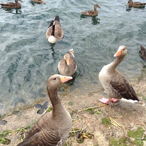 Fairlop Waters Boulder Park