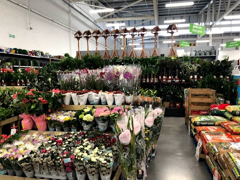 Homebase - Dublin Santry