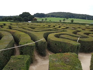 Longleat Hedge Maze