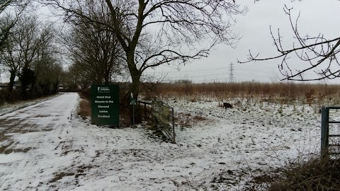 Soar Lane Diamond Wood