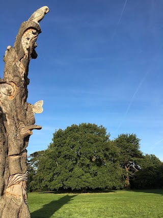 Stoke Lodge Playing Field