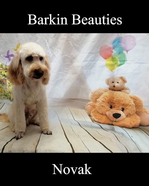 Barkin Beauties Dunmurry