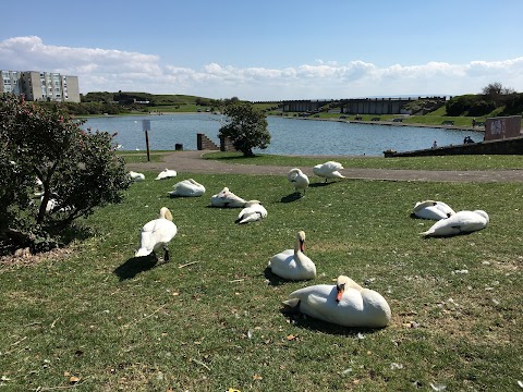 Knap Gardens