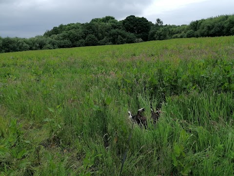 Peel Hall Farm