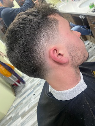 VA Turkish Barber (sharpscissors sevendials )