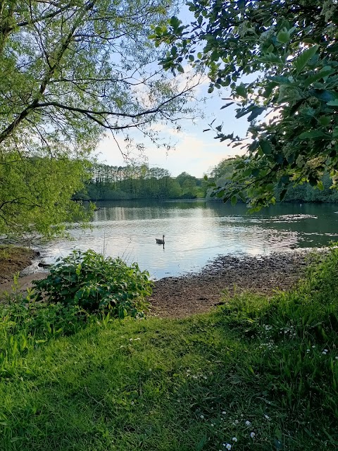 Hillfield Nature Reserve