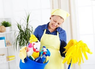 HD6 Domestic Cleaners