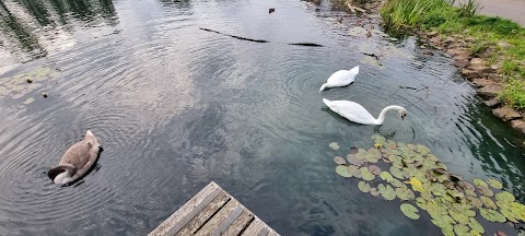 Rouken Glen Pond