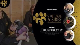 Short Bark & Sides Dog Grooming with Day Care