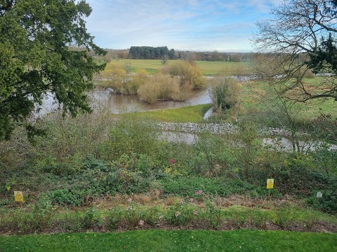 Dovecliff Hall Hotel