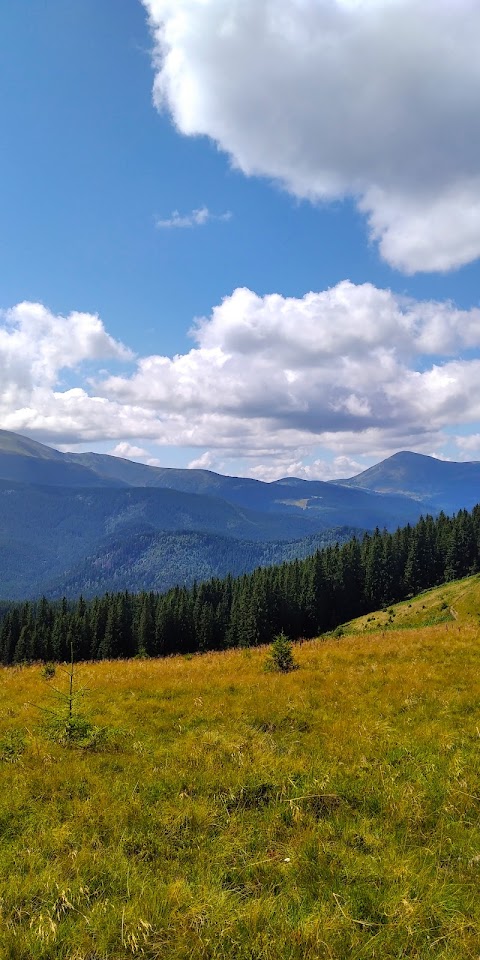 Сироварня "Полонина Закукул"