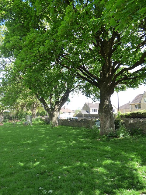 Hawthorn Grove public space